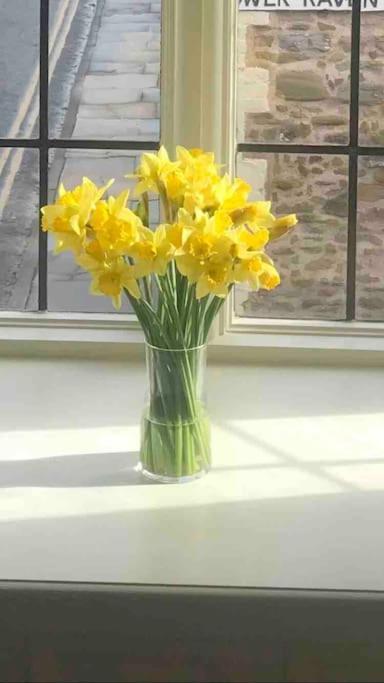 Grade 2 Listed , In The Heart Of Historic Ludlow. Holiday home *